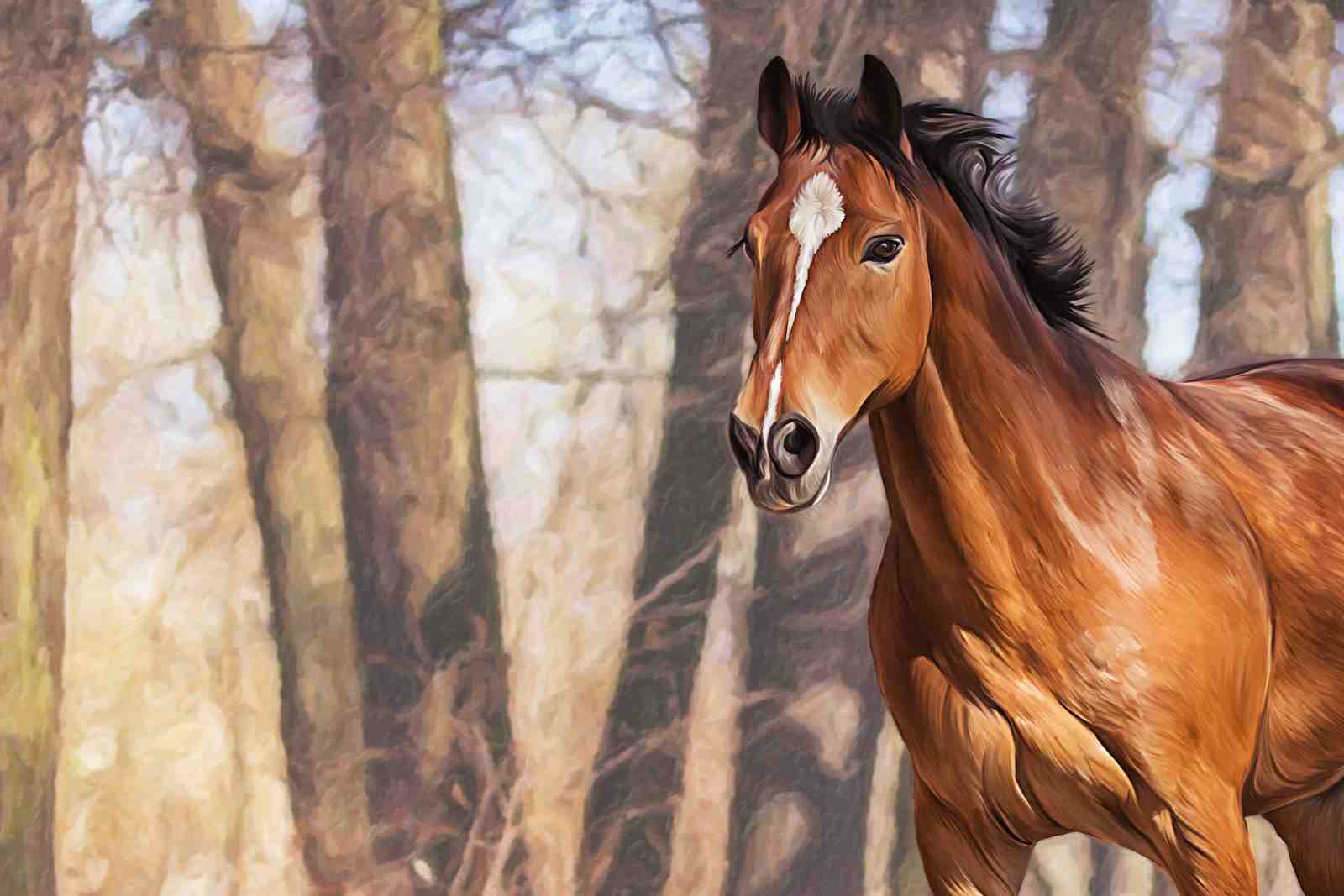 Majestic Horse Forest Oil Painting Wall Art