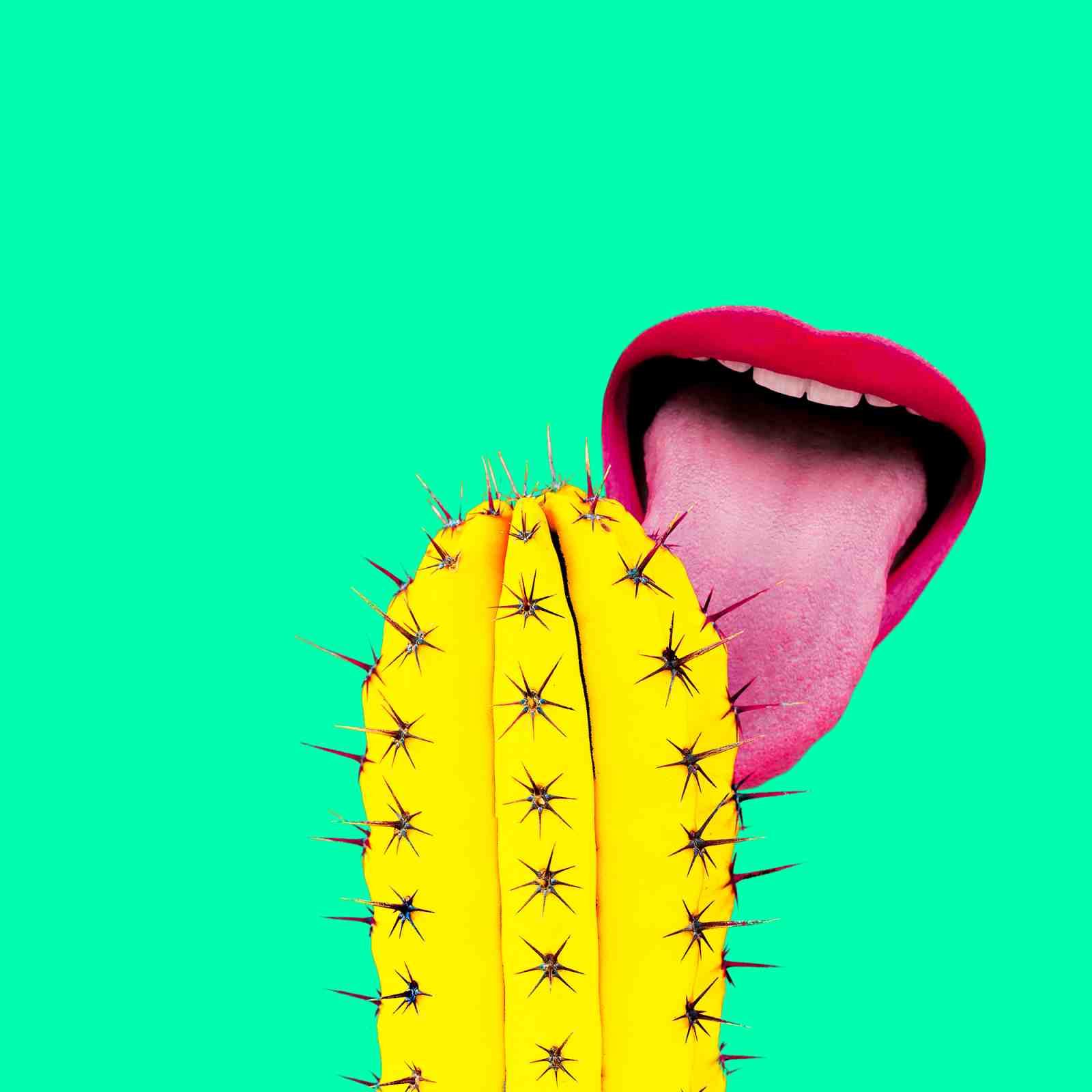 Surreal Cactus Tongue Pop Art Wall Art