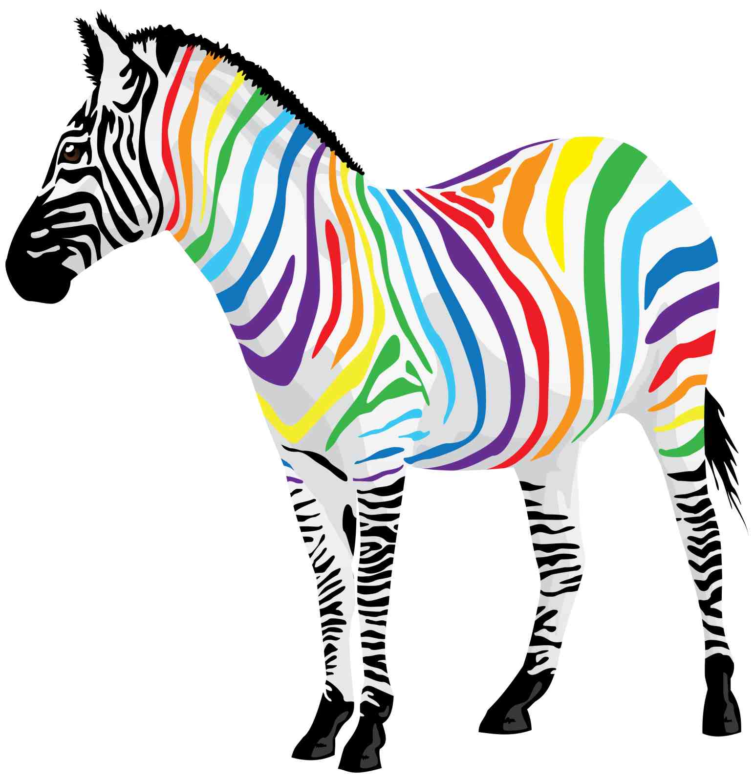Vibrant Rainbow Zebra Wall Art Wall Art