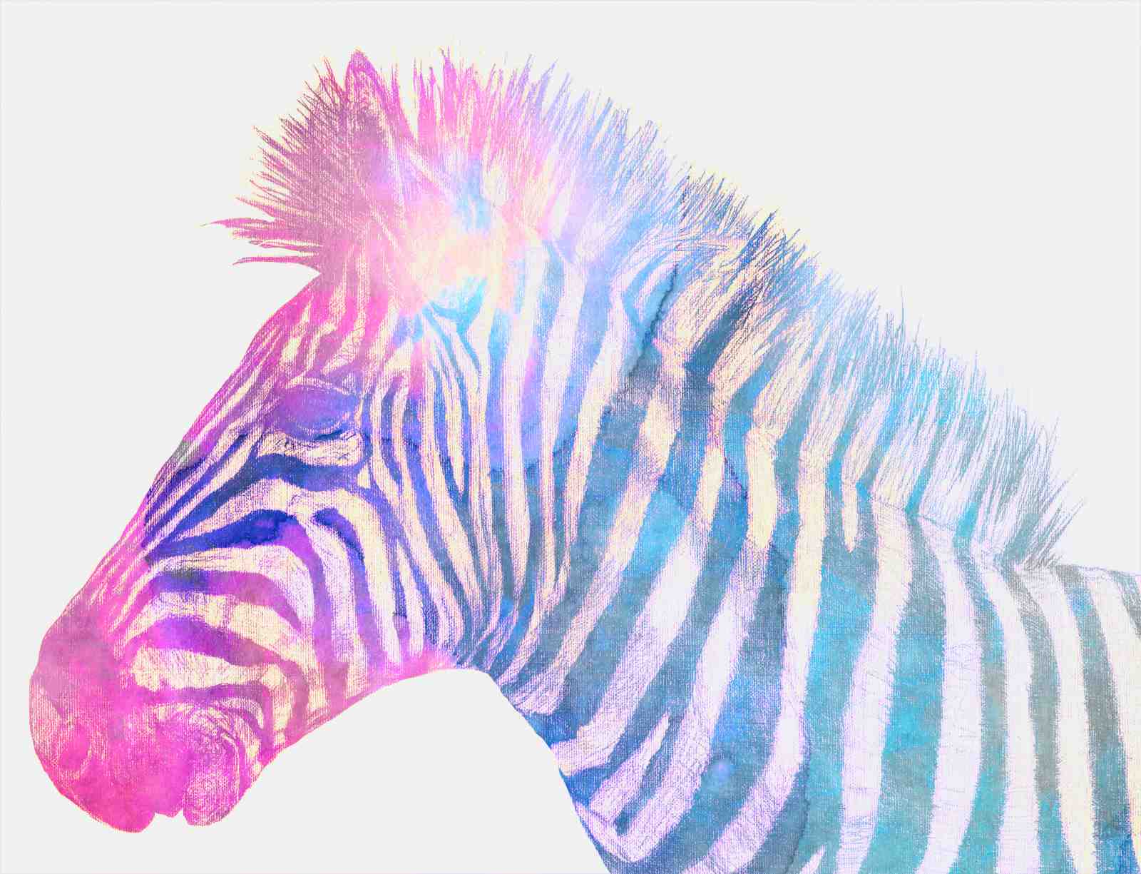 Vibrant Galaxy Zebra Head Wall Art