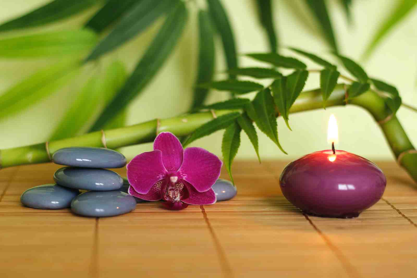 Zen Orchid & Bamboo Serenity Wall Art