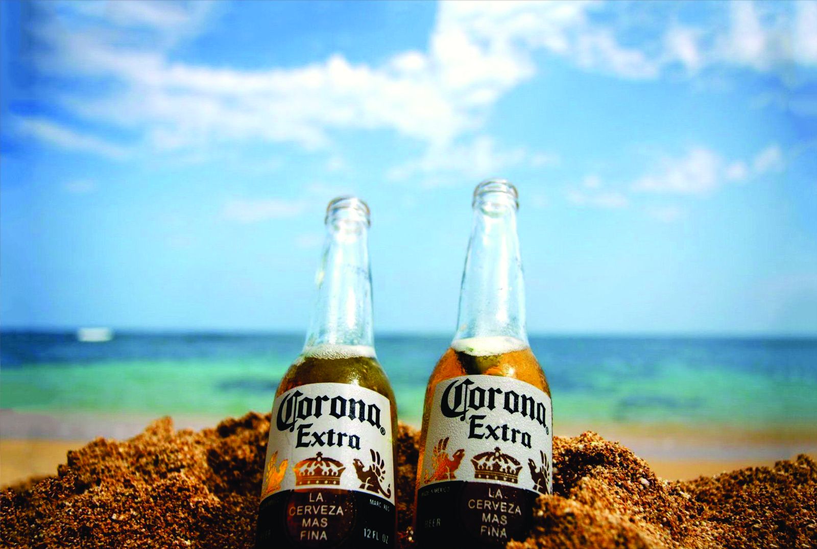 Corona Beach Vibes Tropical Drink Wall Art