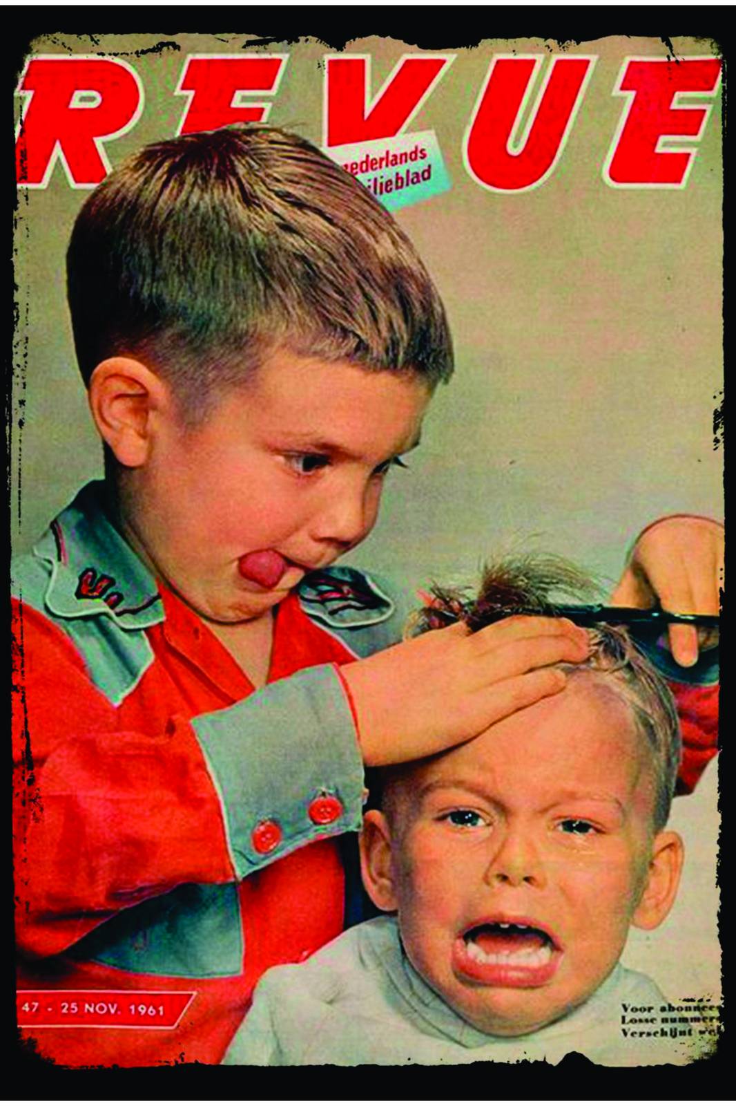 Vintage Boys Haircut Humor Wall Art