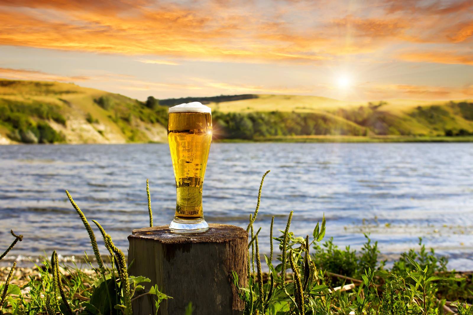 Golden Hour Beer Landscape Wall Art