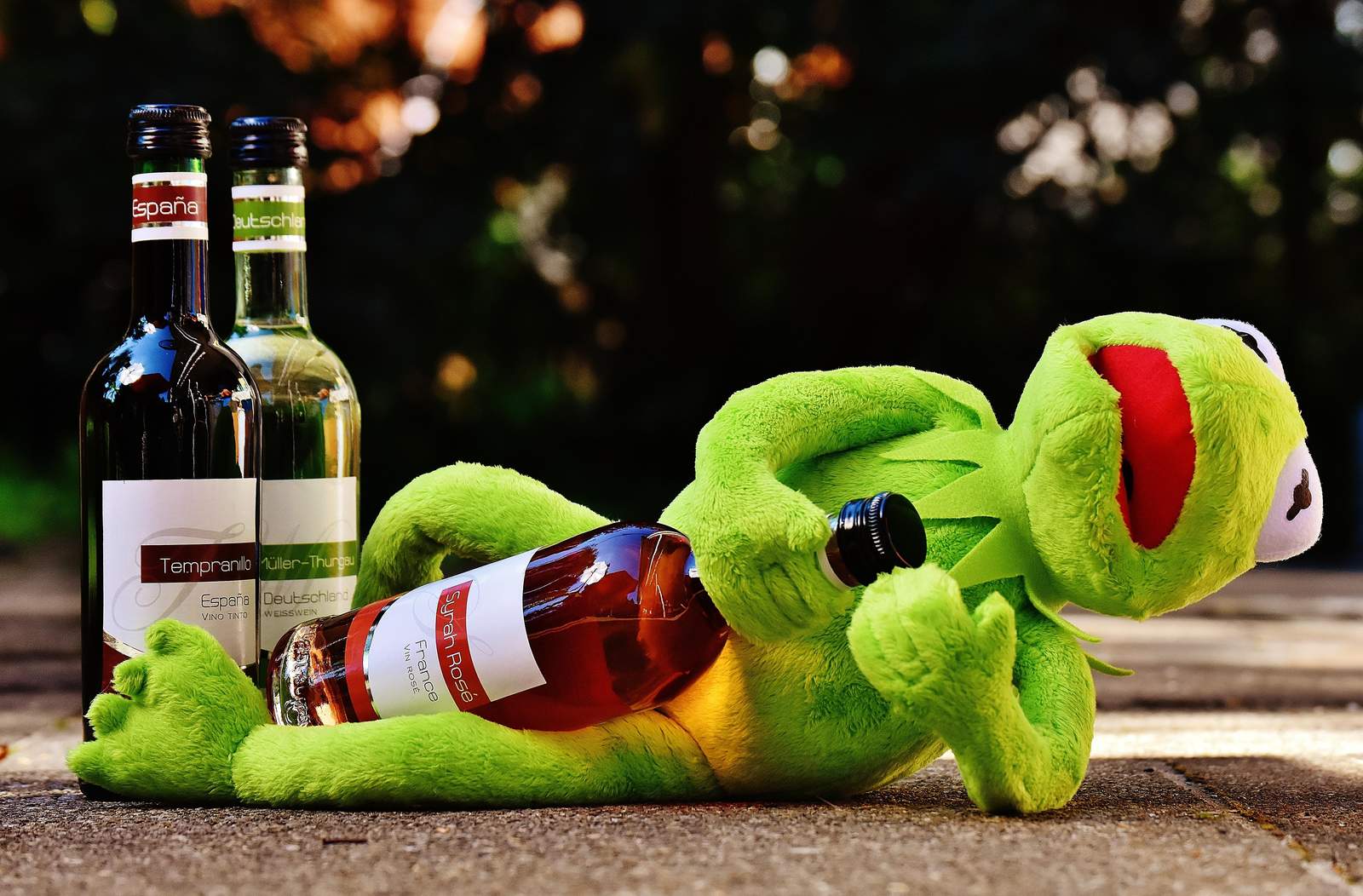 Funny Kermit Frog Wine Lover Wall Art