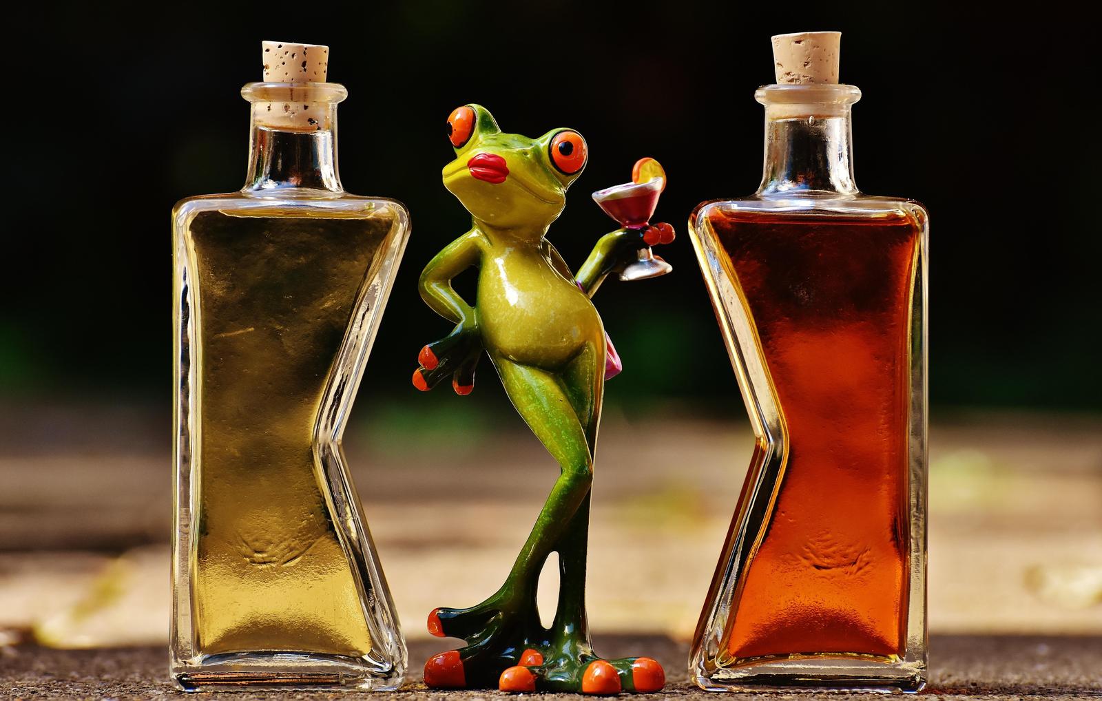 Playful Frog Cocktail Party Wall Art