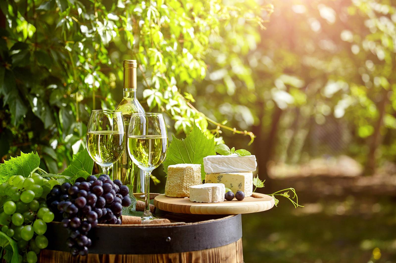 Elegant Wine & Cheese Garden Wall Art