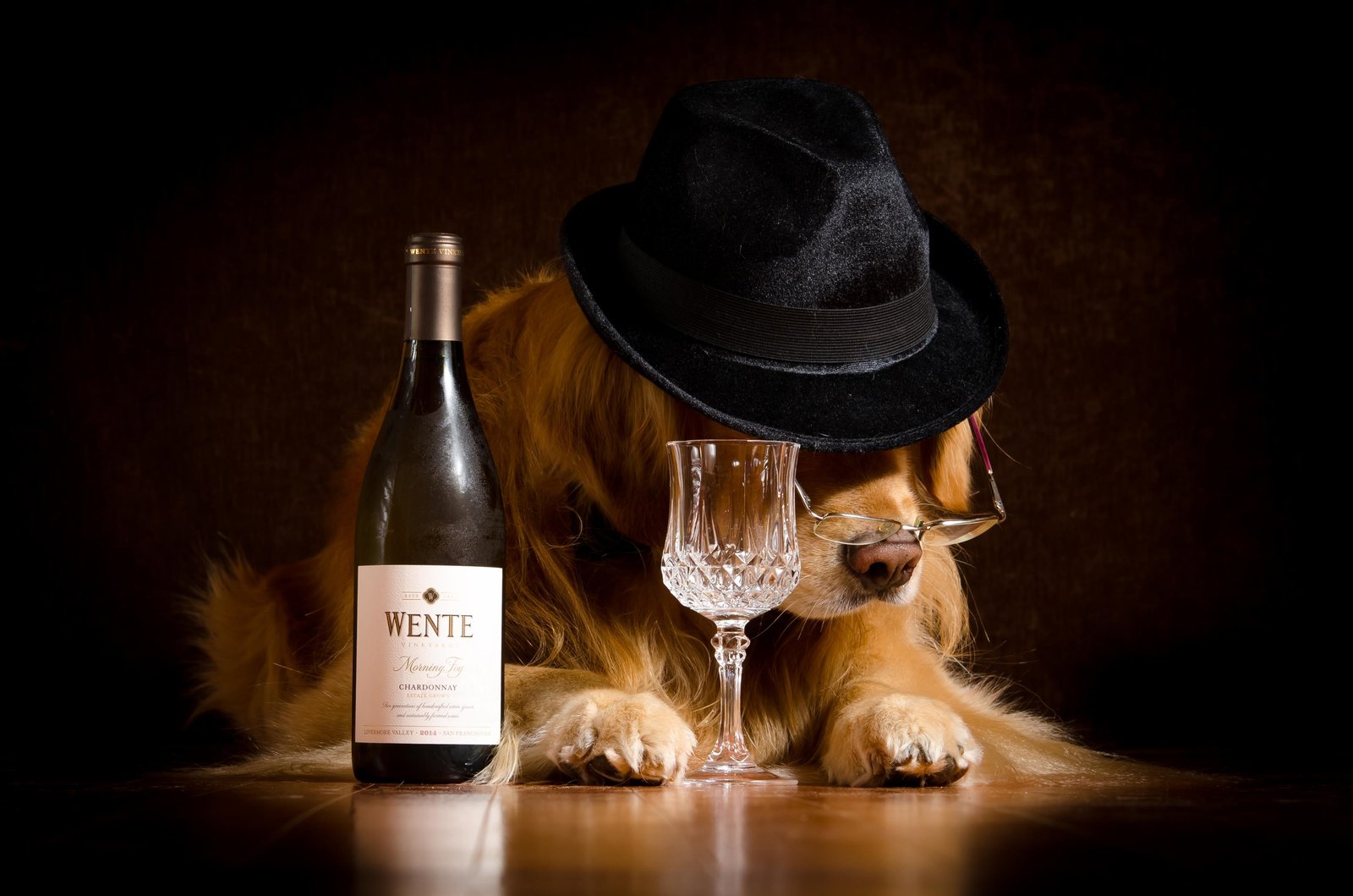 Whimsical Dog & Wine Hat Wall Art