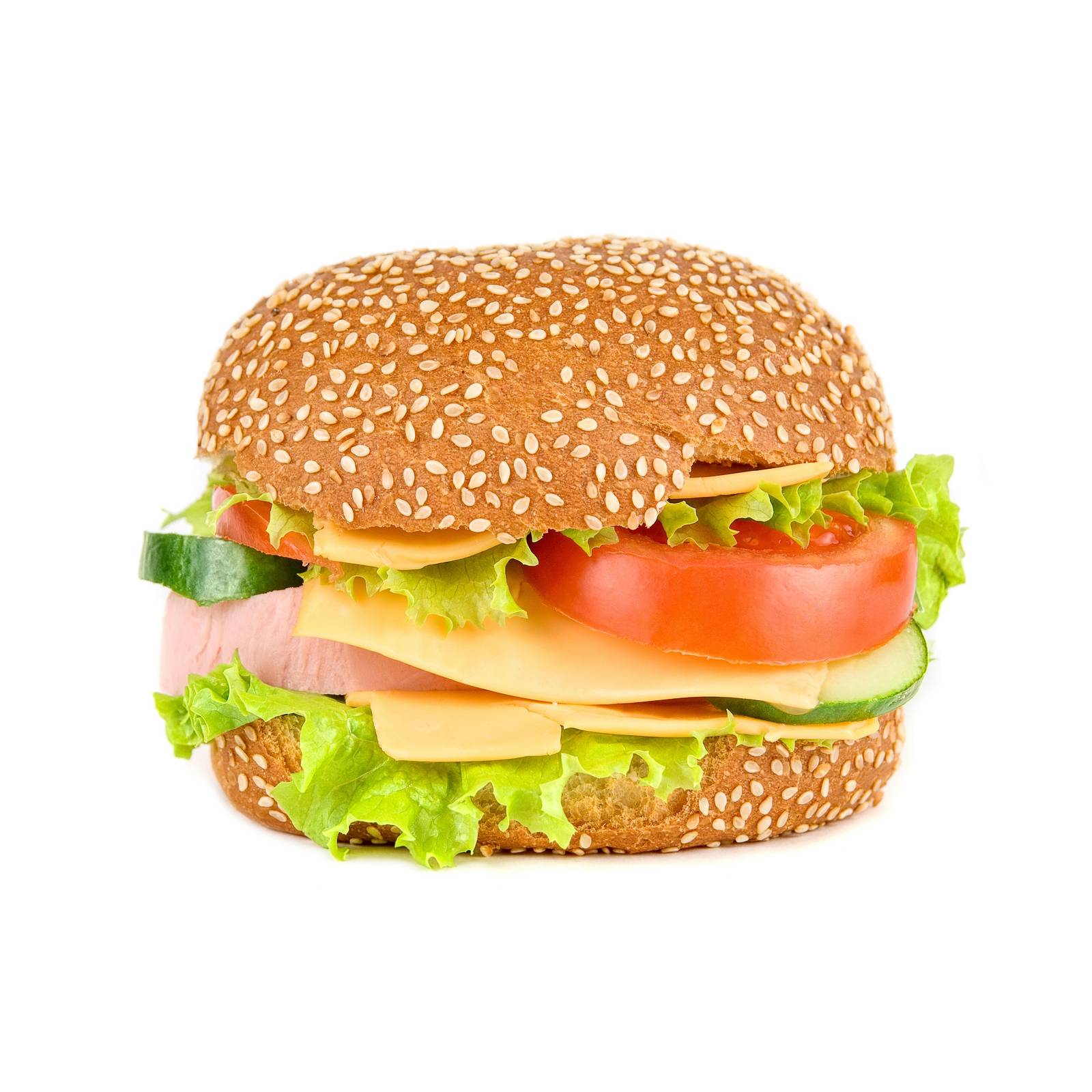 Fresh Gourmet Burger Art Wall Art