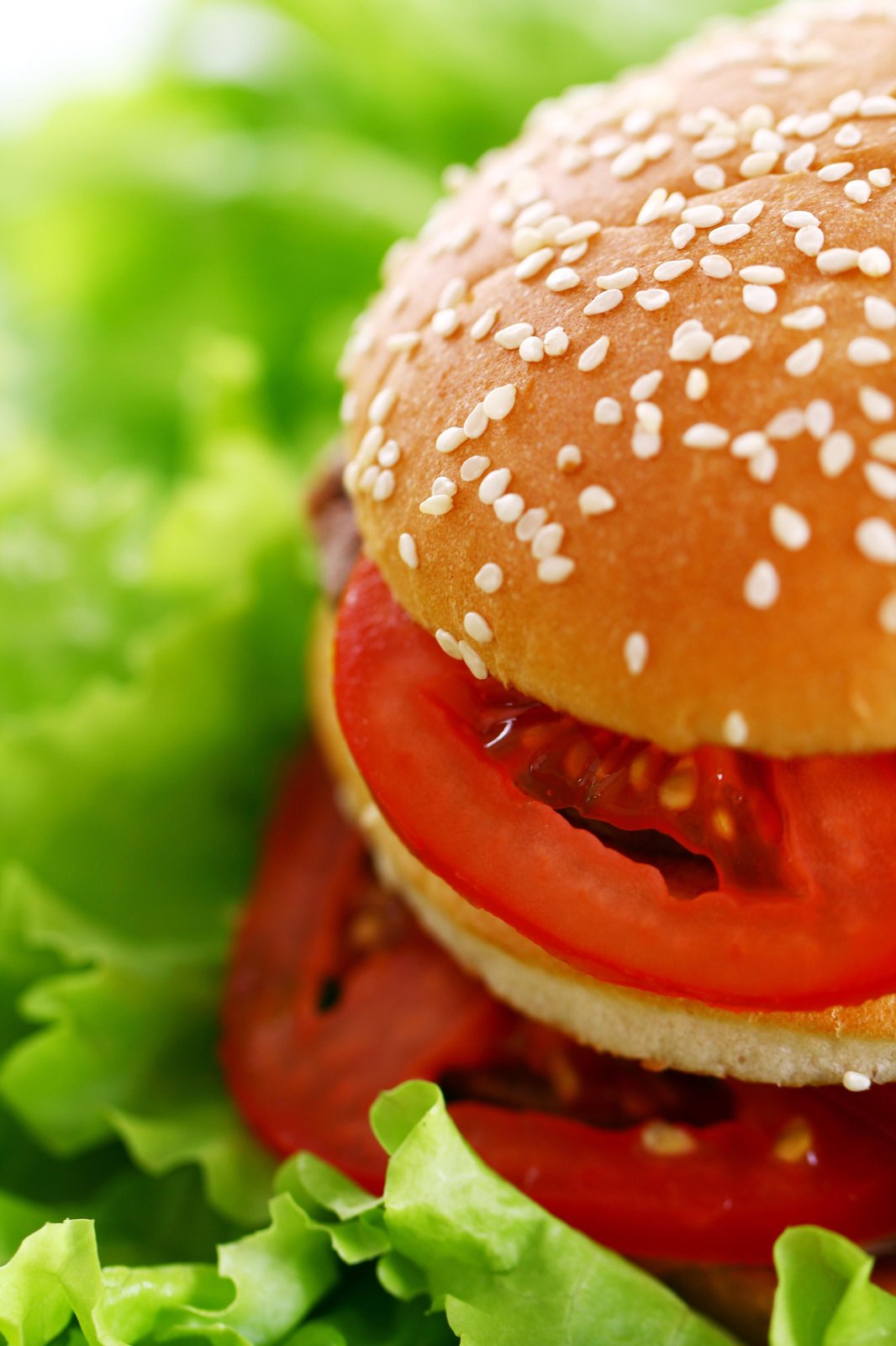 Juicy Burger & Fresh Lettuce Wall Art