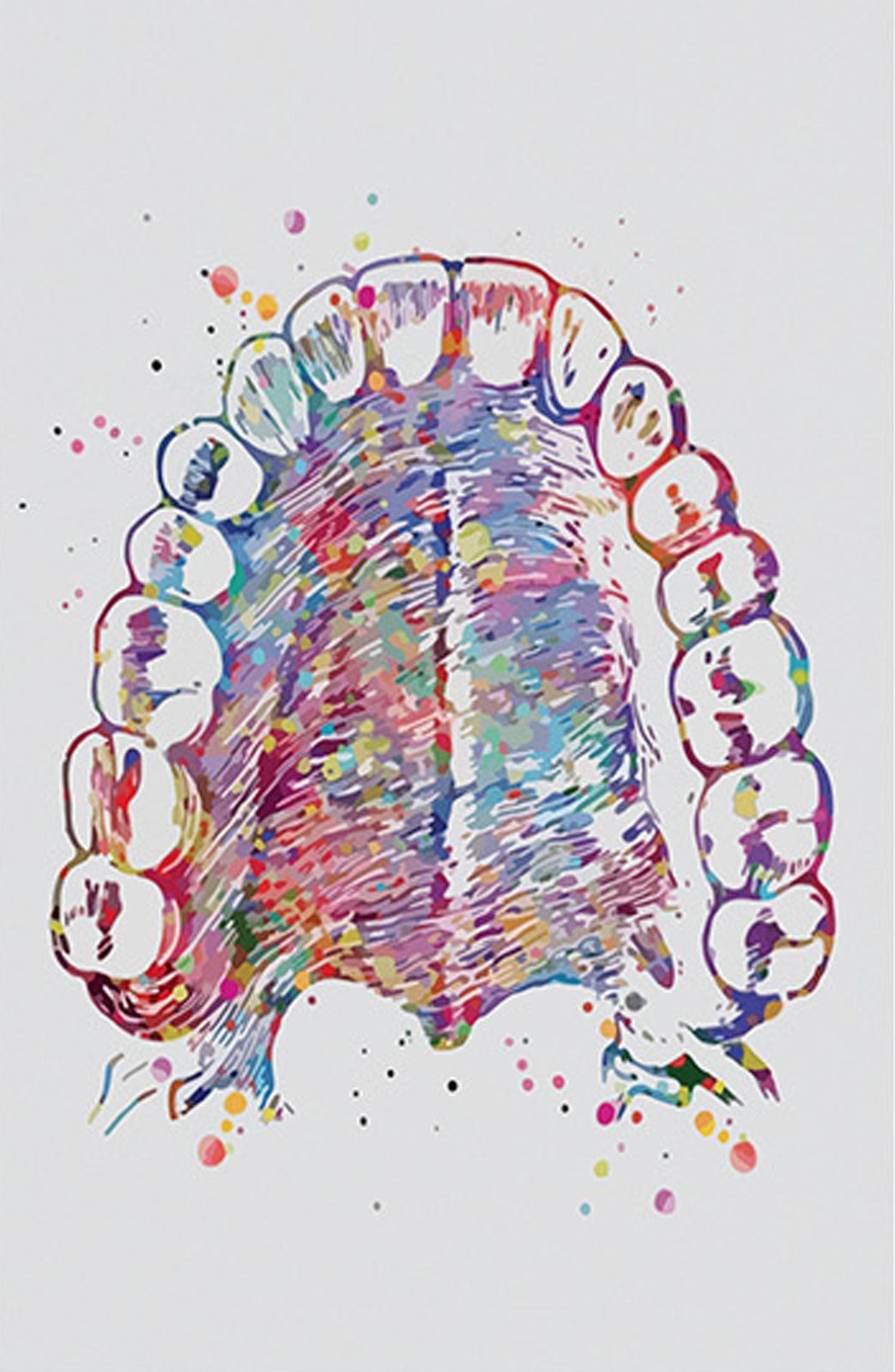 Colorful Dental Anatomy Watercolor Wall Art