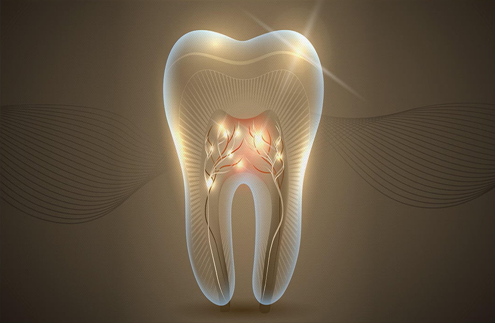 Radiant Tooth Anatomy Wall Art for Dental Offices