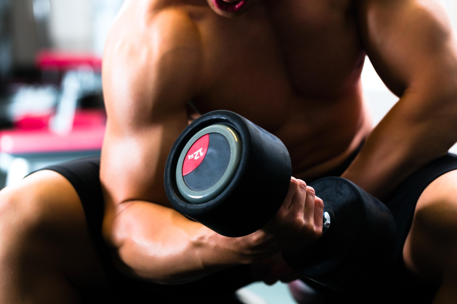 Fit Bodybuilder Dumbbell Workout Wall Art