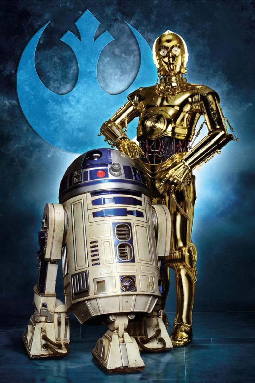 Iconic R2-D2 & C-3PO Star Wars Wall Art