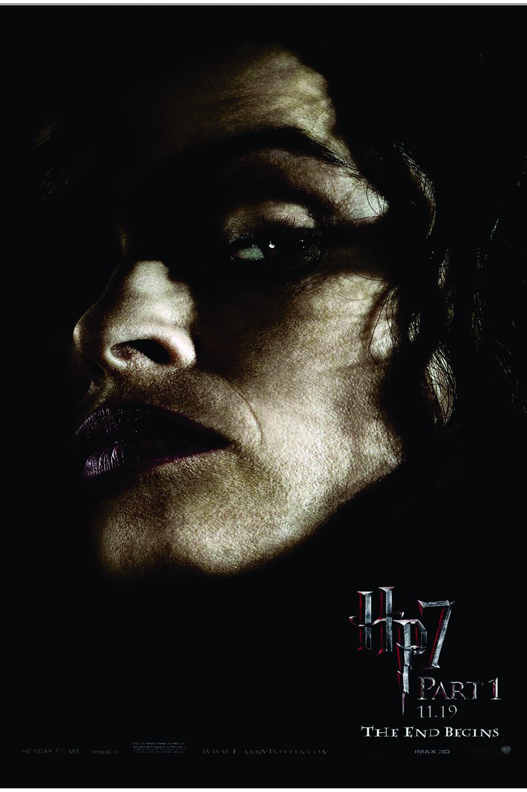 Mysterious Portrait Harry Potter Wall Art