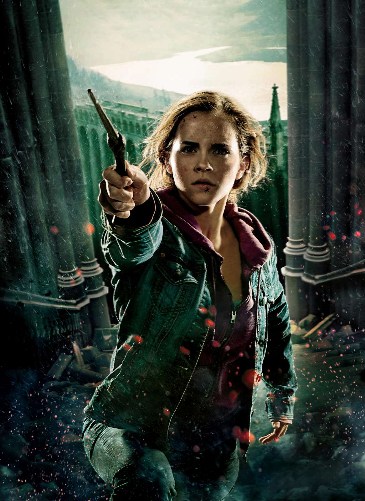 Hermione Granger Action Wall Art