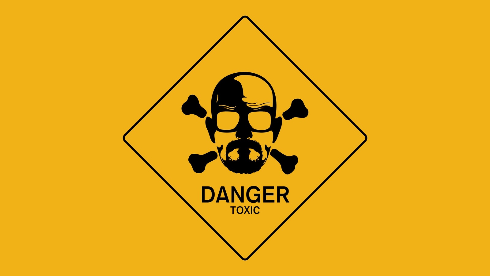 Iconic Danger Toxic Skull Wall Art
