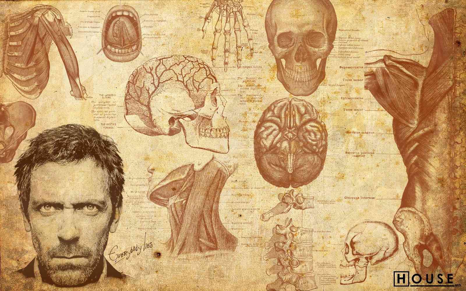 Vintage Anatomy Medical Art Wall Art