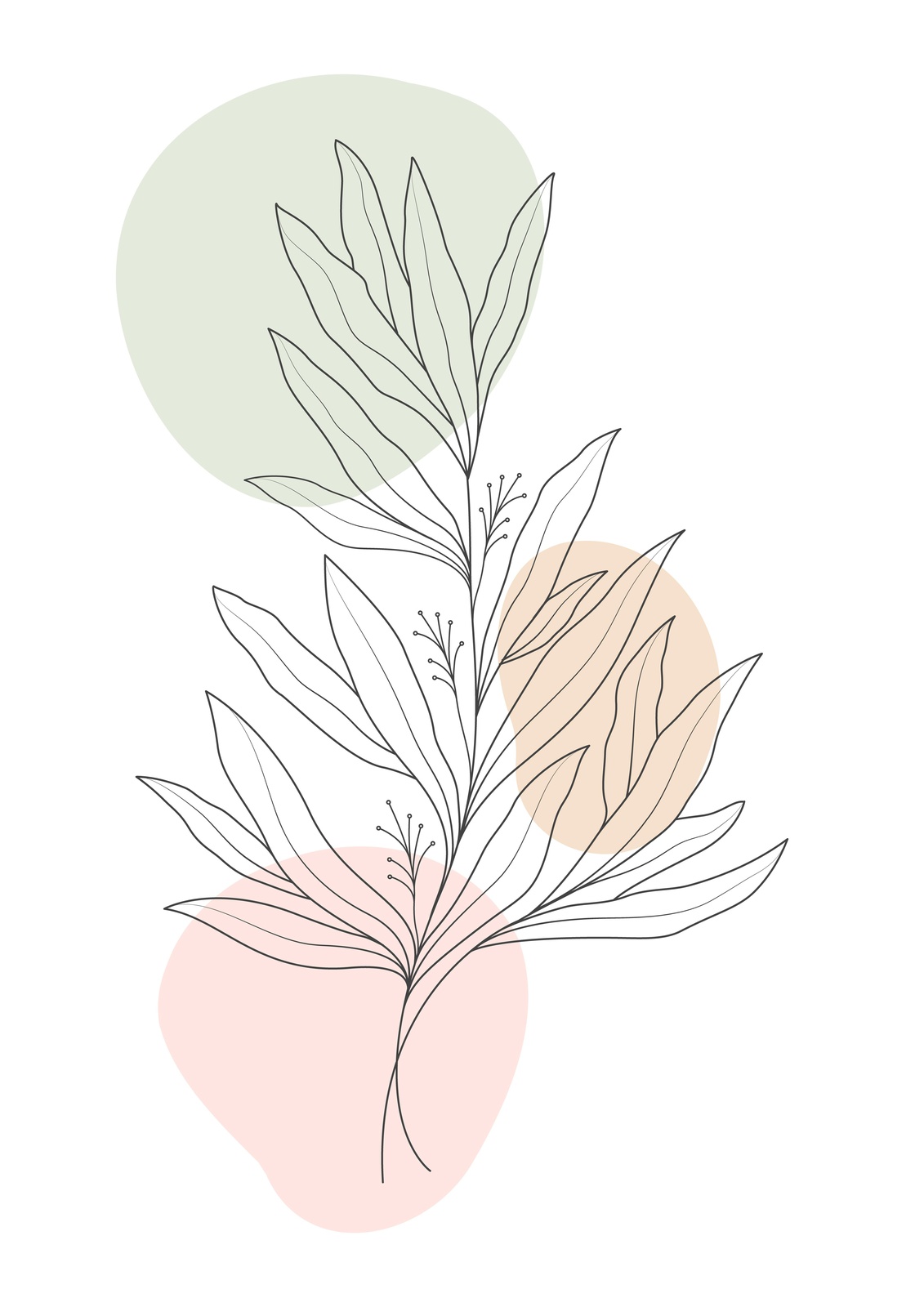 Botanical Line Art with Pastel Shapes Wall Art