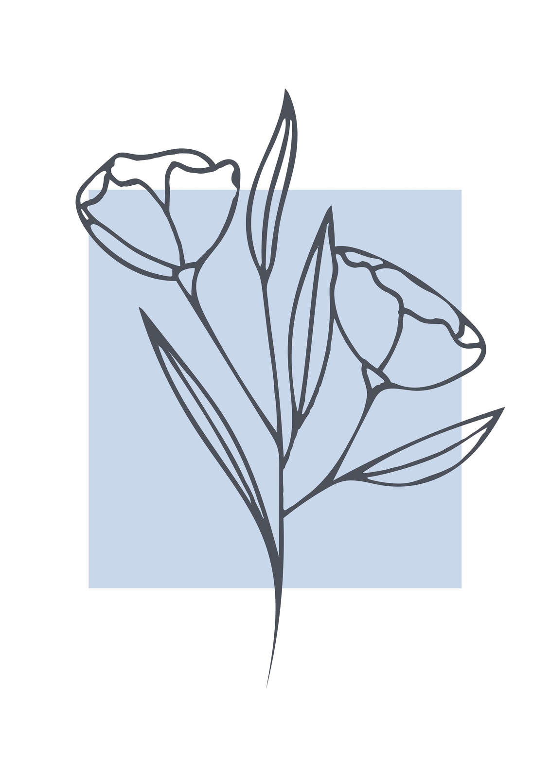 Minimalist Floral Botanical Line Art Wall Art