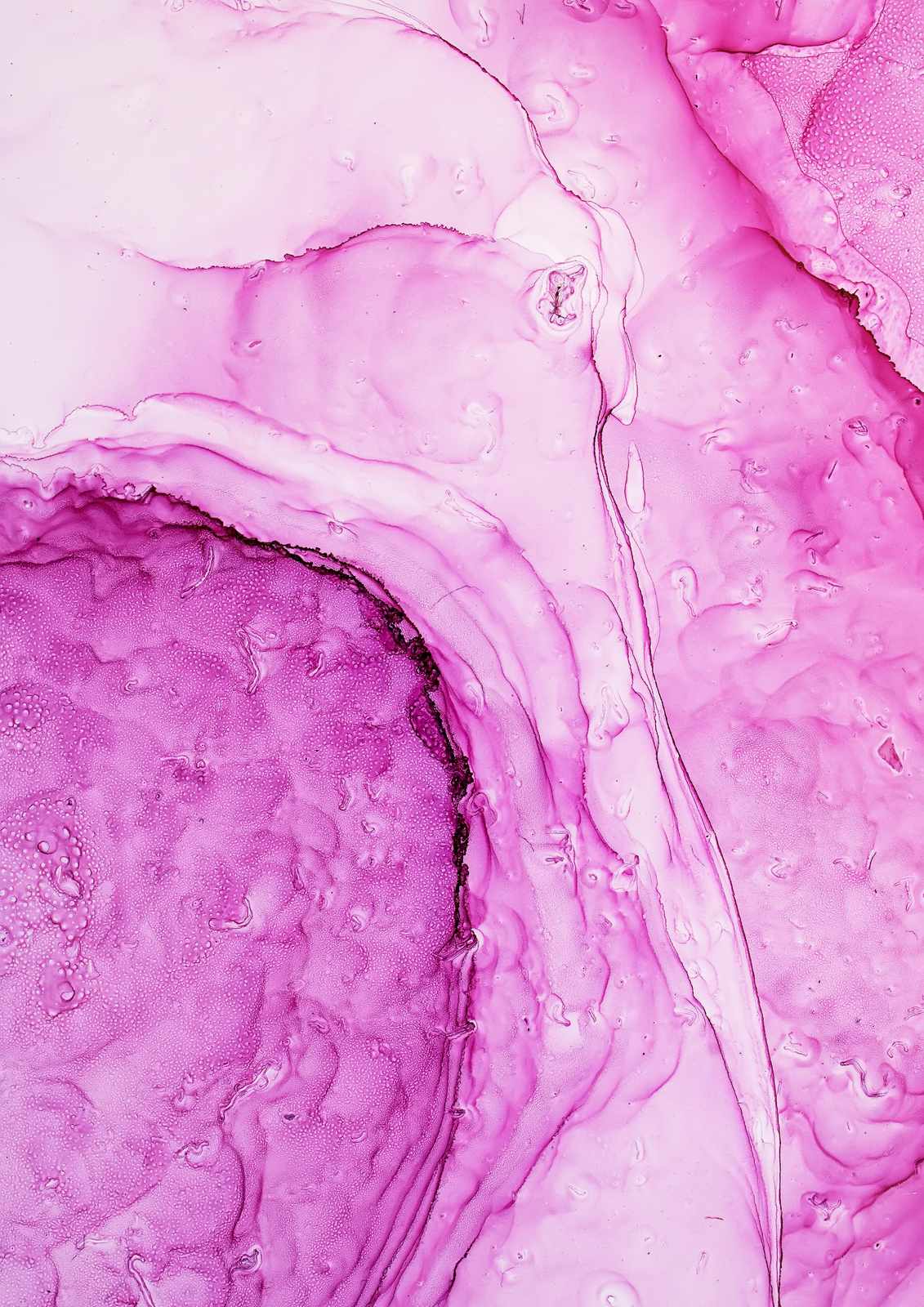Vibrant Pink Fluid Art Abstract Wall Art