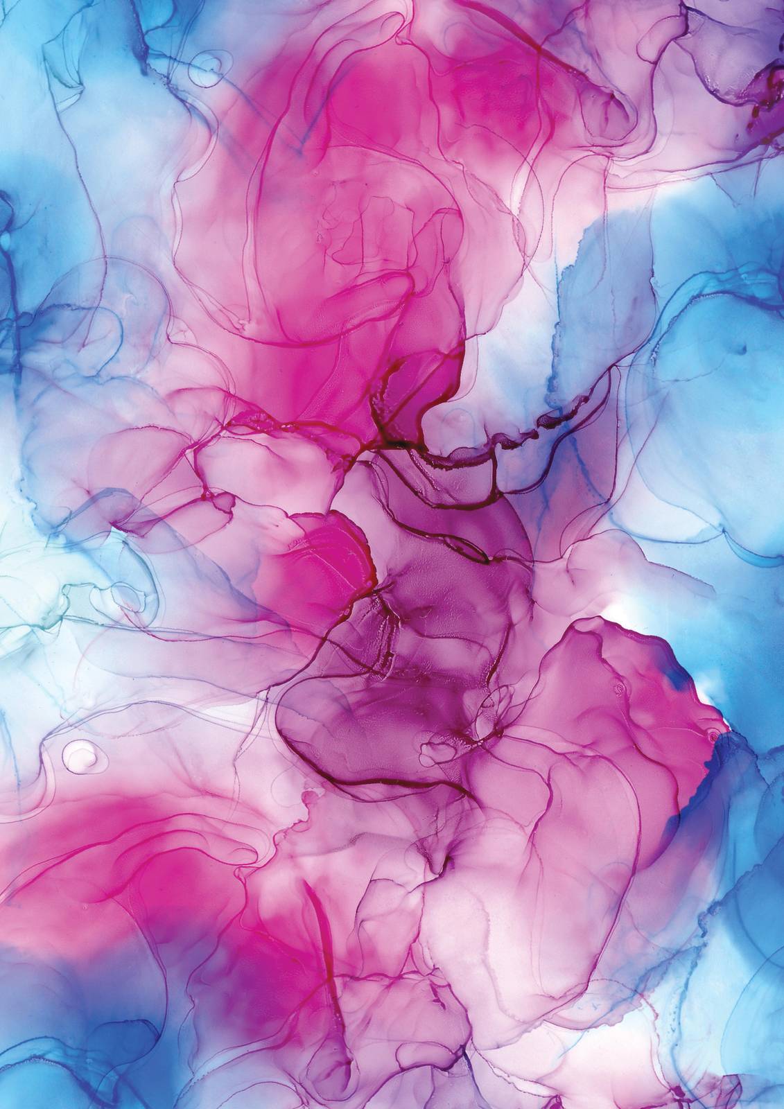 Vibrant Fluid Abstract Pink Blue Wall Art
