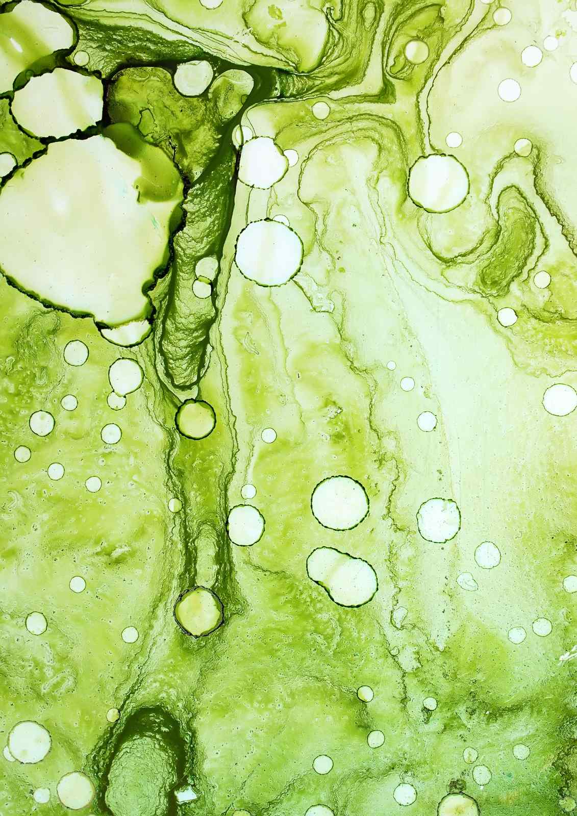 Ethereal Green Abstract Bubbles Wall Art