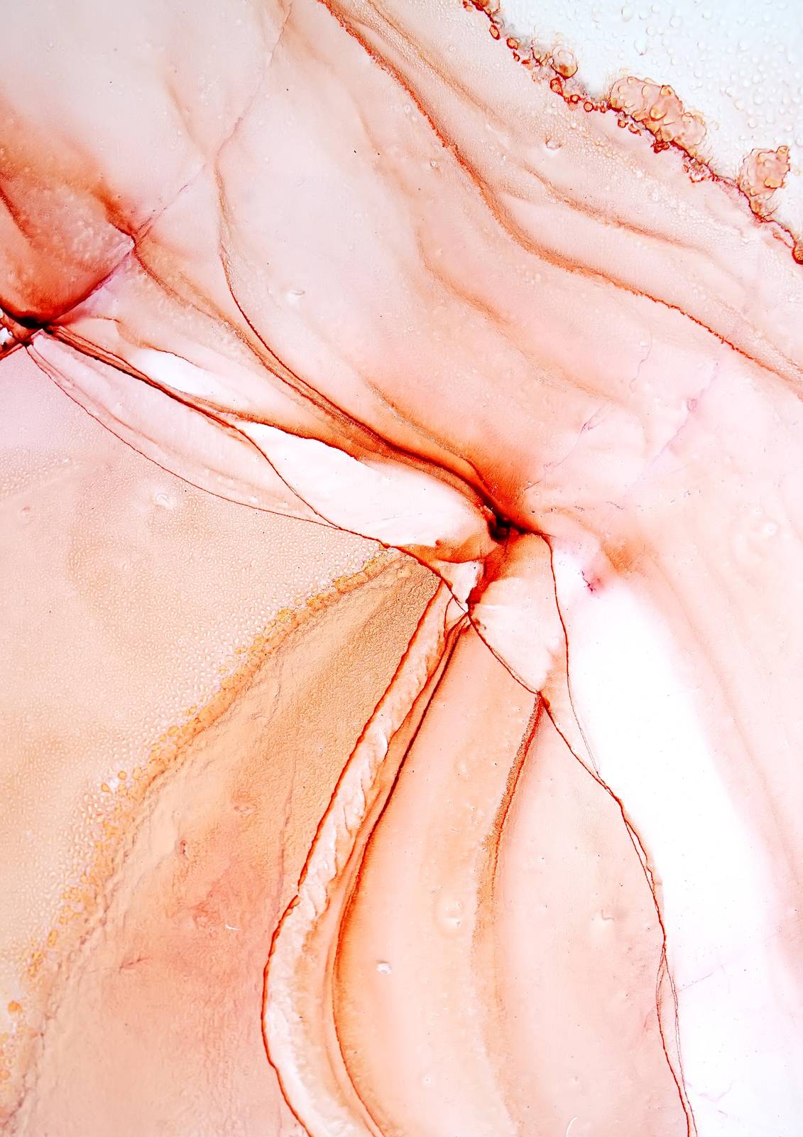 Abstract Peach Swirl Wall Art